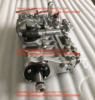 13058571 Injection Pump For Weichai Engine Spare Parts