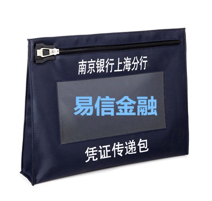 Re-Usable Locking Document Security Bag