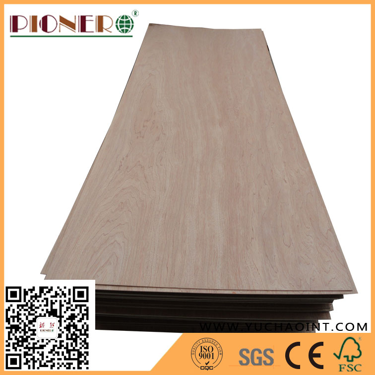 Bintangor Commercial Plywood for Door Decoration