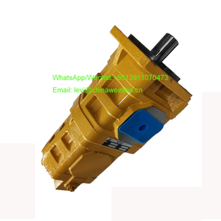 SDLG Wheel Loader LG918 Gear Pump 4120001084 CBGJ2050/1010-XF