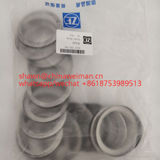 ZF parts 4642308083 Guide Ring