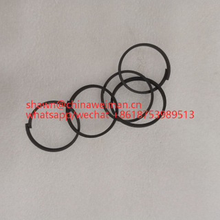 5225163 Z510210240 Oil seal