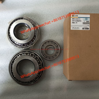 Original SEM parts main driver bearing set 6199478 