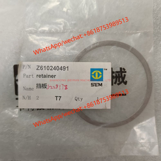 Retainer Ring 5228178