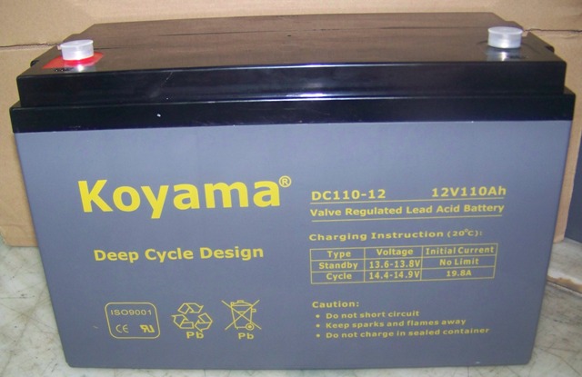 Deep Cycle AGM Battery 