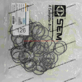 Seal Ring Z510210240 5225163 
