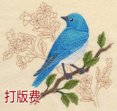 專業(yè)承接各種電腦繡花制版 刺繡制版_可繡版打樣 打版