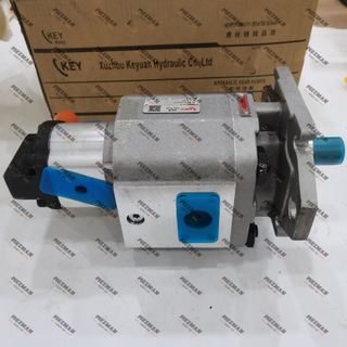 Keyuan Gear Pump Hydraulic Pump 112050013 CB-KPTL100/10FA