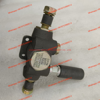 SPLF2205.5-305E fuel transfer pump