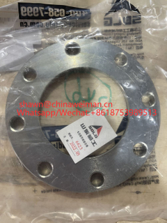 29250001051 Flange disc for wheel loader