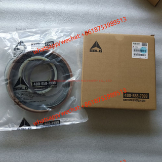 Original SDLG parts Seal kit 4120006001021 修理包 0.66kg