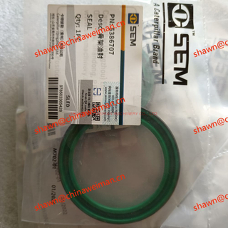 SEM ORIGINAL oil seal W44000005 5386707 