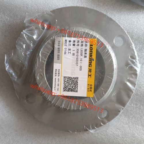 LG30F.10I-005 30810102337