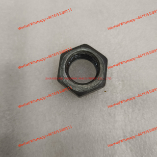 5186589 bolt 