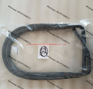 4110000556128 614150004 seal gasket