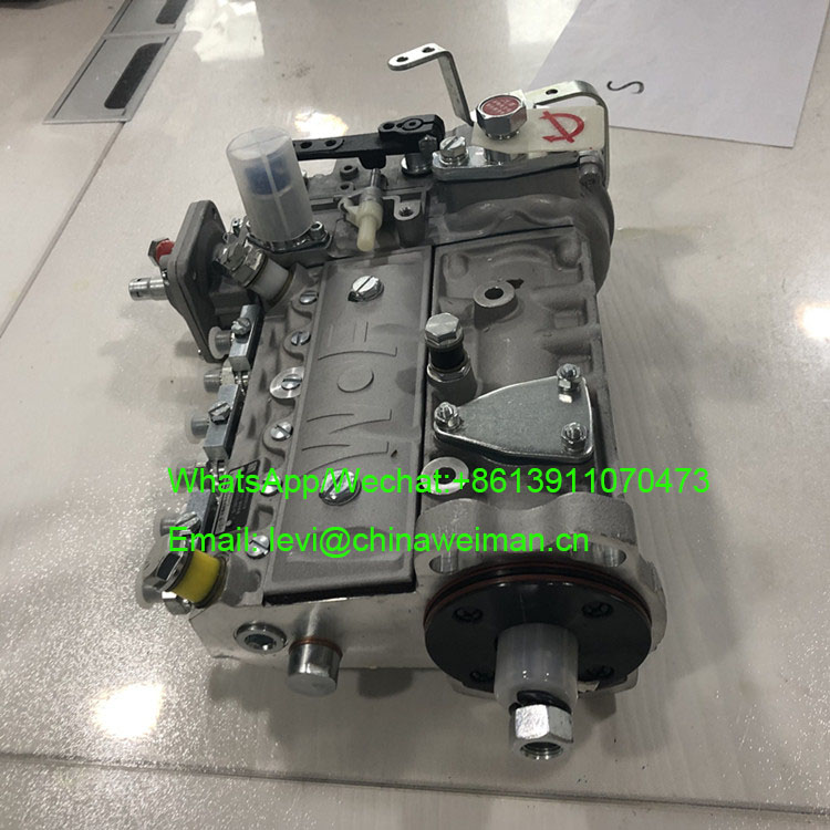 Cummins DCEC Diesel Engine Parts Fuel Injection Pump 3913902
