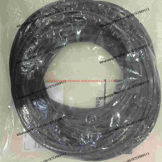 Engine Seal ring Z510210450 5238425