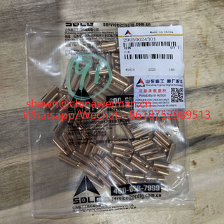 29050024301 Pin