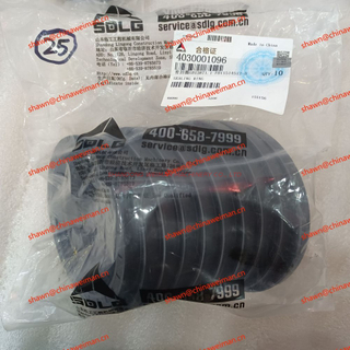 Original/Genuines SDLG parts oil seal 4030001096 
