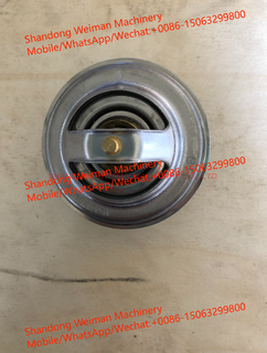 20450736 Thermostato For Volvo Excavator Spare Parts