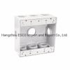 Two-Gang Weatherproof Box, Threaded Outlets, Gray Finish