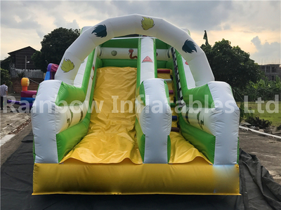 RB6105(5x2.5x3m) Inflatables Animal theme double slide