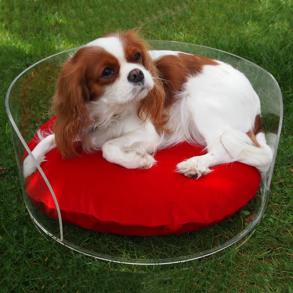 Customize Color Luxury Dog Bed Lucky Pet Dog Beds Mini Dog Bed With Soft Seat