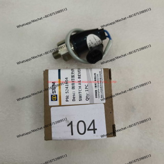 SEM Wheel loader part Switch 5241604 