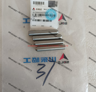 4120002027025 pin