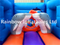 RB1006（3x4x2.5m）Inflatable dolphin Bouncer