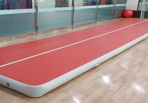 Gym Tumble Track for Sale Inflatable Air Track Mats