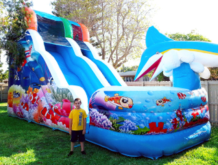 Inflatable Water Slides Inflatable Water Park Slide