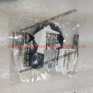 Original Genuines SDLG wheel loader part Repair Kit 4120000084045