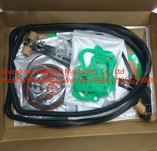 1002580535 Overhaul Kit For Weichai Engine Spare Parts