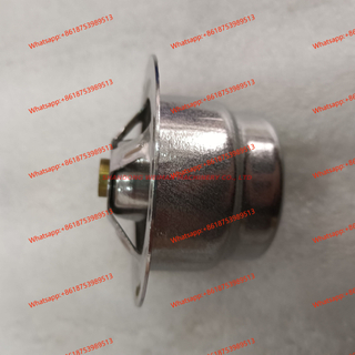 C22AL-1118010 Theromast for C6121 Engine