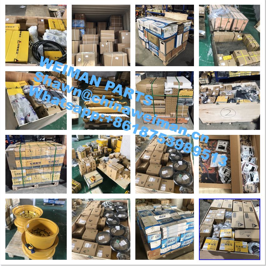 Cargo packing and shipping