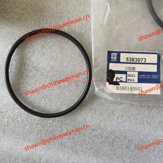 SEM ORIGINAL O ring B160140951 5383073 