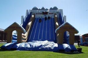 Inflatable Hippo Slide for Sale Inflatables Waterslides