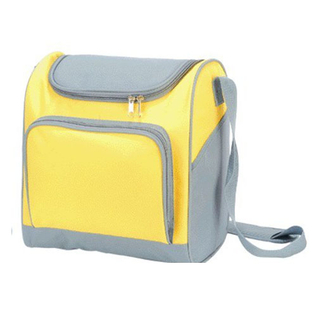 Thermal Insulated Cooler Bag with Shoulder Strap