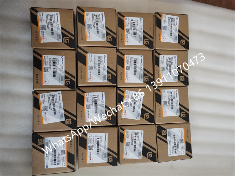 Liugong Loader Spare Parts Caliper Service Kit SP173147