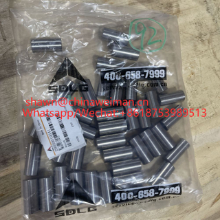  29050019541 滚柱Φ153