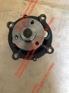 21404502 Water Pump For Volvo Excavator Spare Parts