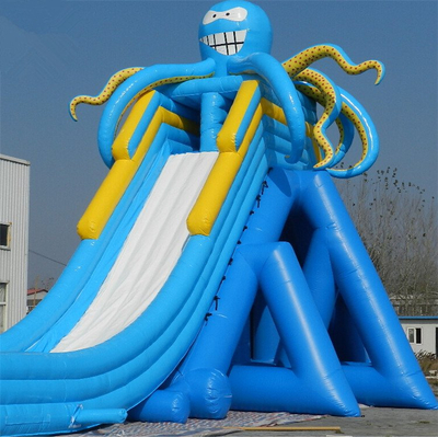 Giant Adult Inflatable Slide Hippo Water Slide for Sale