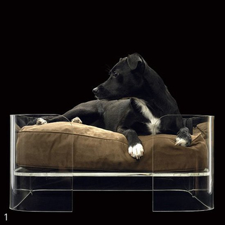 New Arrival Clear Acrylic Pets Bed Luxury Dog Bed With Memory Foam