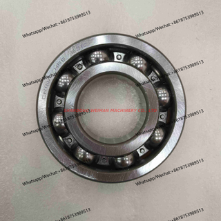 Roller Bearing B120135027 5383063