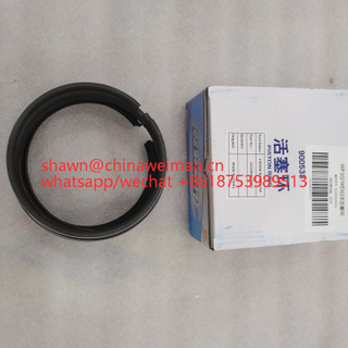 Piston Ring Wd10g220e21 engine 4110000556066 612600030051