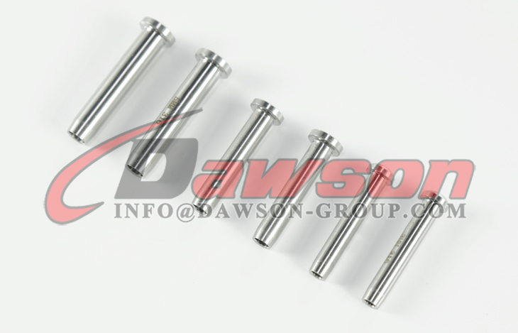 ステンレス鋼 304、AISI316 ステンレス鋼ドーム ヘッド端子 - Dawson Group Ltd. - 中国メーカー、工場