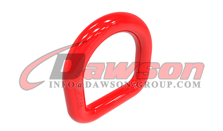 Anillo en D forjado DS406 - Dawson Group Ltd. - Proveedor, fabricante, f&aacute;brica de China