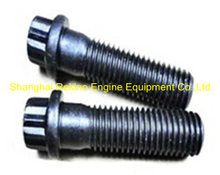 205393 Twelve point cap screw KTA19 Cummins engine parts
