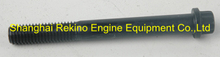 205394 Twelve point cap screw KTA19 Cummins engine parts